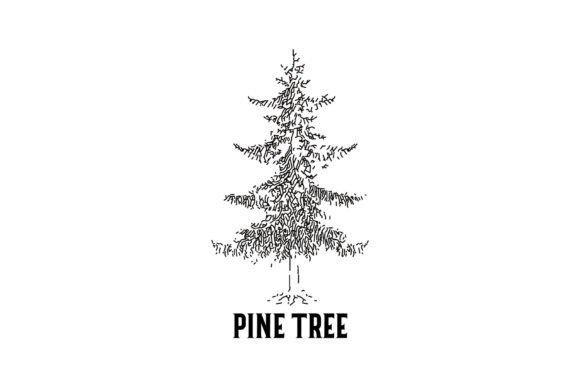 Download Vintage Pine Tree Logo Design - Premium Resources